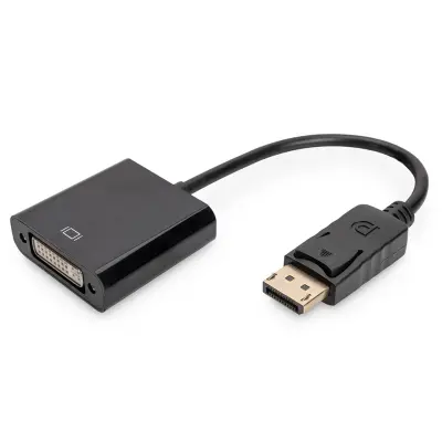 Display Port to DVI Adapter