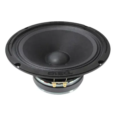 Speaker saqf EodExo R-915