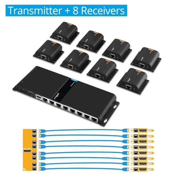 VVV cat 6 40M