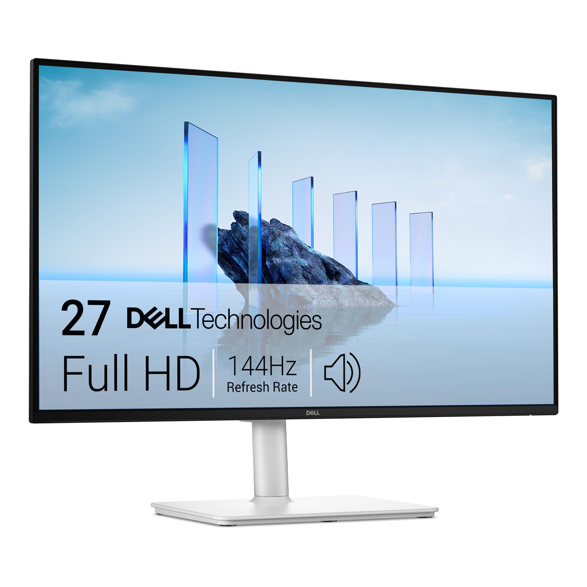 Dell Monitor 21 Inch