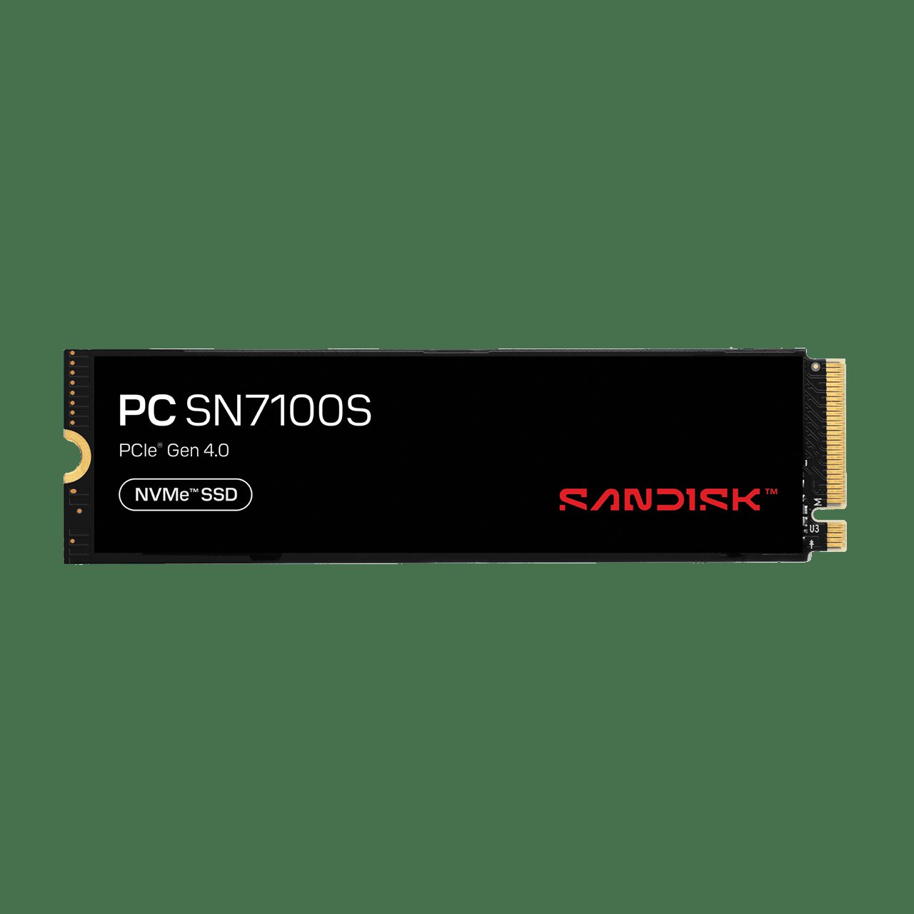 SanDisk M.2 NVME SSD 256GB