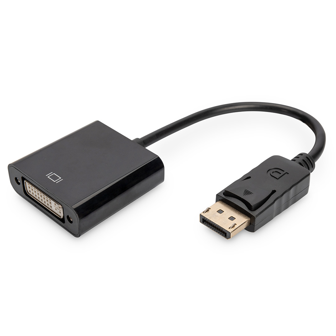 Display Port to DVI Adapter