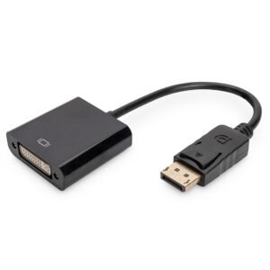 Display Port to DVI Adapter